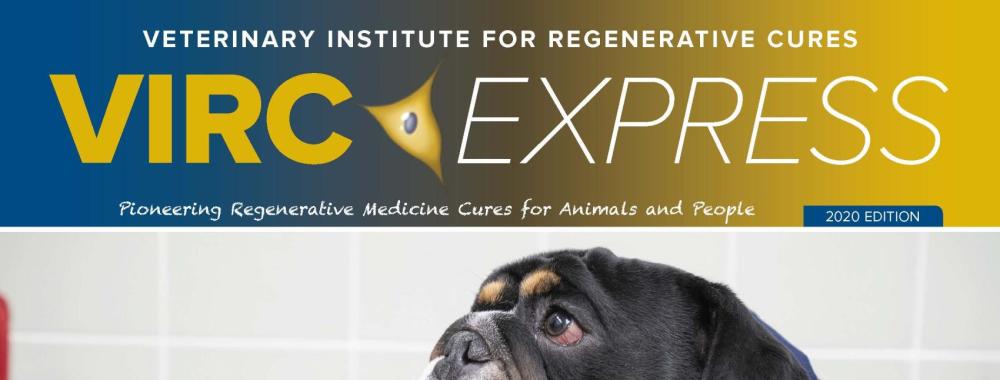 VIRC express newsletter